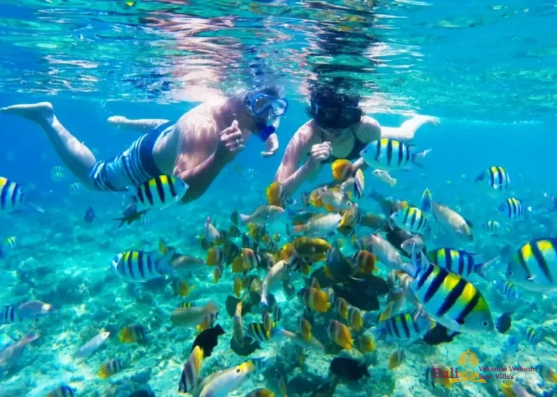 96c966ec-5c5b-4e6a-838a-11ecf99e3613-1608640988703-0da85a5ed752e90c450c75c8b50f5ba5-1024×683