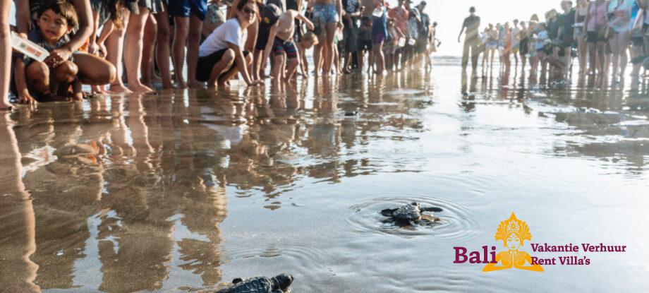 merlin_139012968_2c5cefae-af68-4939-b779-c06cbcb6034e-superJumbo