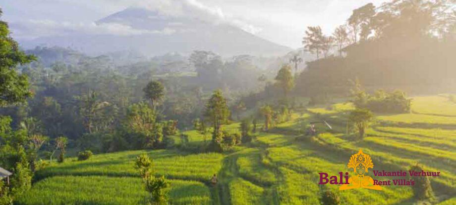 Bali-Sidemen-Rice-Terrace-1