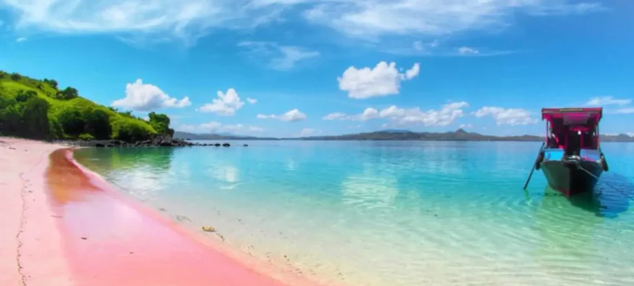 Pink-Beach-Lombok-Why-Pink